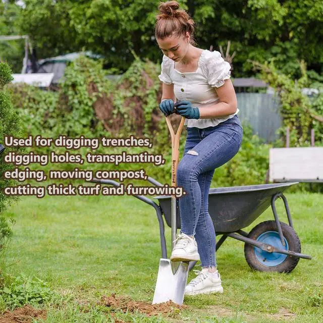 Alt view image 4 of 6 - Berry&Bird Garden Digging Spade, 41" Stainless Steel Square Border Spade, Heavy Duty European Shovel with D-Grip Handle, Traditional English Style Flat Shovel for Digging, Yard Work, Transplanting