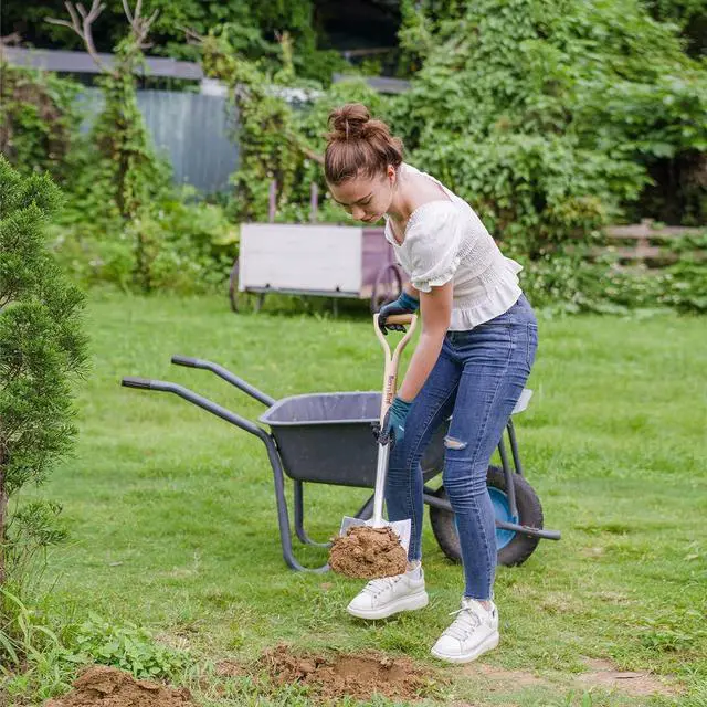 Alt view image 2 of 6 - Berry&Bird Garden Digging Spade, 41" Stainless Steel Square Border Spade, Heavy Duty European Shovel with D-Grip Handle, Traditional English Style Flat Shovel for Digging, Yard Work, Transplanting