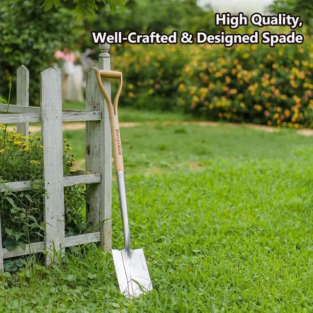 Alt view image 5 of 6 - Berry&Bird Garden Digging Spade, 41" Stainless Steel Square Border Spade, Heavy Duty European Shovel with D-Grip Handle, Traditional English Style Flat Shovel for Digging, Yard Work, Transplanting