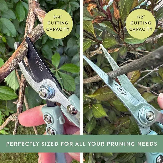 Alt view image 6 of 7 - Hand Pruners & Shears Set - Lightweight Gardening Tools W/Easy Lock Sharp Carbon Steel Blades -Rust Resistant Scissors for Herbs, Flowers Reusable Holster Ocean  Pack of 2