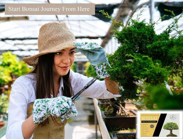 Alt view image 2 of 6 - Bonsai Tree Tools Kit, 22 PCs Bonsai Tools Set High Carbon Steel Trimming Tools Set Include Pruning Shears, Cutters, Training Wires, Bonsai Grooming Care Kit for Beginner Gardening Gifts