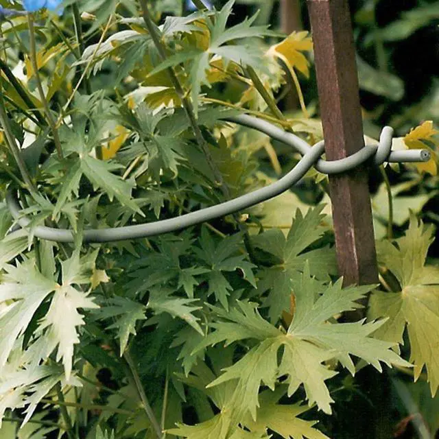 Alt view image 2 of 5 - Tierra Garden 50-3000 Tie050101 5 m Original Soft Tie, 16.4', Green
