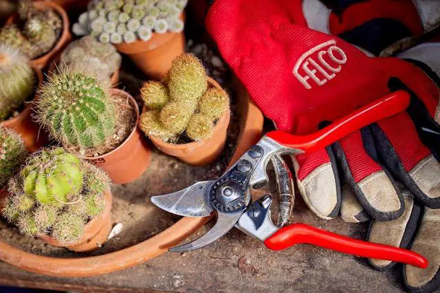 Alt view image 4 of 5 - FELCO Pruning Shears (F 14) - High Performance Swiss Made One-Hand Garden Pruner with Steel Blade,Red, Silver