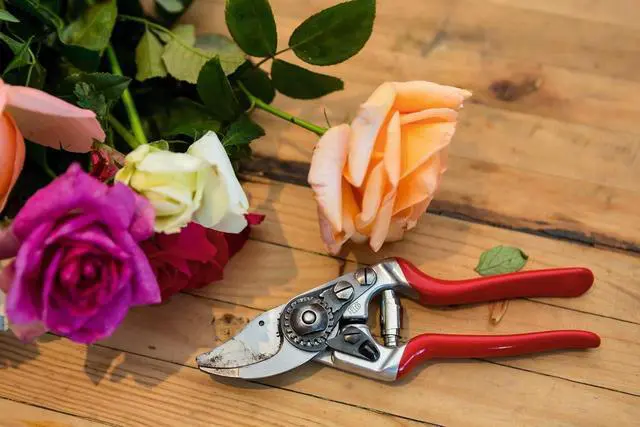 Alt view image 5 of 5 - FELCO Pruning Shears (F 14) - High Performance Swiss Made One-Hand Garden Pruner with Steel Blade,Red, Silver