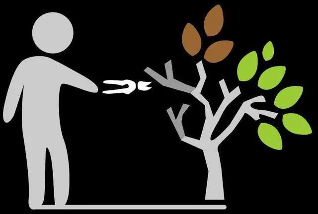 Alt view image 2 of 6 - Fiskars 9115 Smooth Action Anvil Pruner