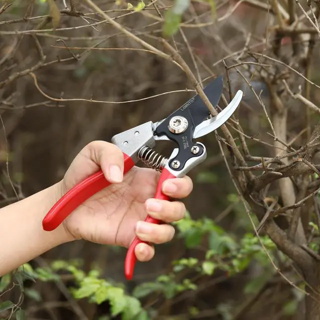 Alt view image 2 of 7 - Pruning Shears for Gardening 5/8" Tree and Branch Garden Clippers - Plant Cutter Scissors with PTFE Resist-rust, Non-stick Coating Steel Blades, Heavy Duty Bypass Hand Pruners