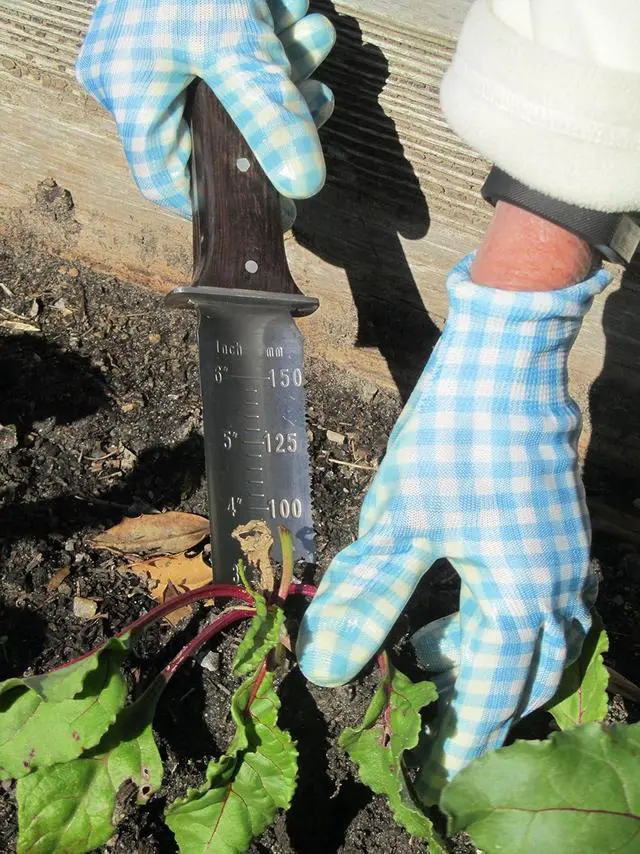 Alt view image 2 of 6 - Hori Hori Japanese Garden Knife - Multi-use Camping/Digging Tool[A Gardeners Dream] Sharp Stainless Steel Blade - Heavy Riveted Leather Sheath - Whetstone Sharpening Stone