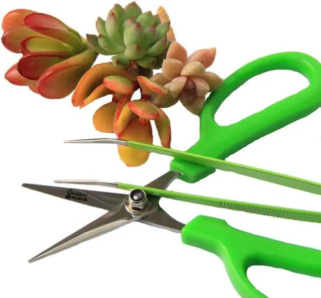 Alt view image 3 of 7 - gardening Scissors and Tweezers Combo
