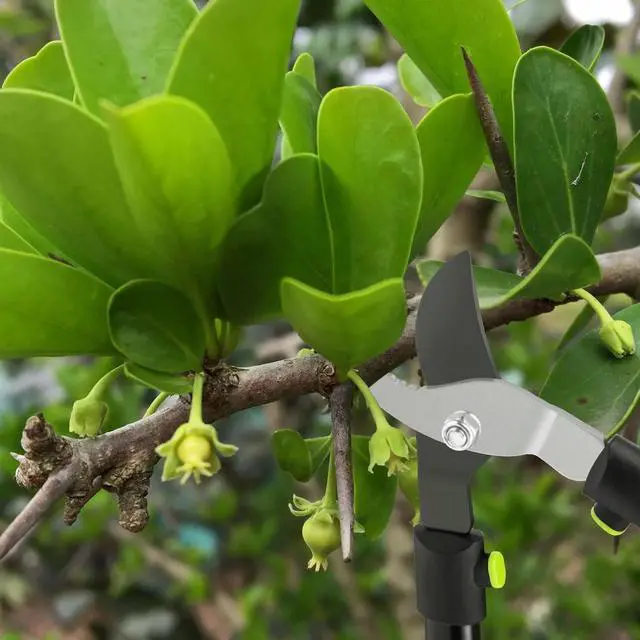 Alt view image 2 of 7 - 28" Garden Bypass Lopper with Steel Blade, Tree Trimmer Branch Cutter for 1.5 Cutting Capacity