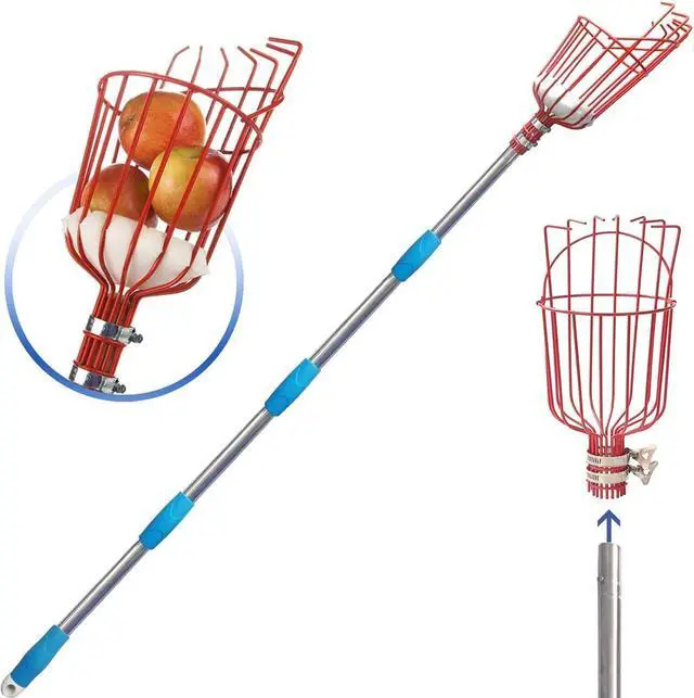 Main image of COCONUT Fruit Picker Tool, Fruit Picker with Basket and Pole Easy to Assemble & Use Fruits Catcher Tree Picker for Getting Fruits(5ft)