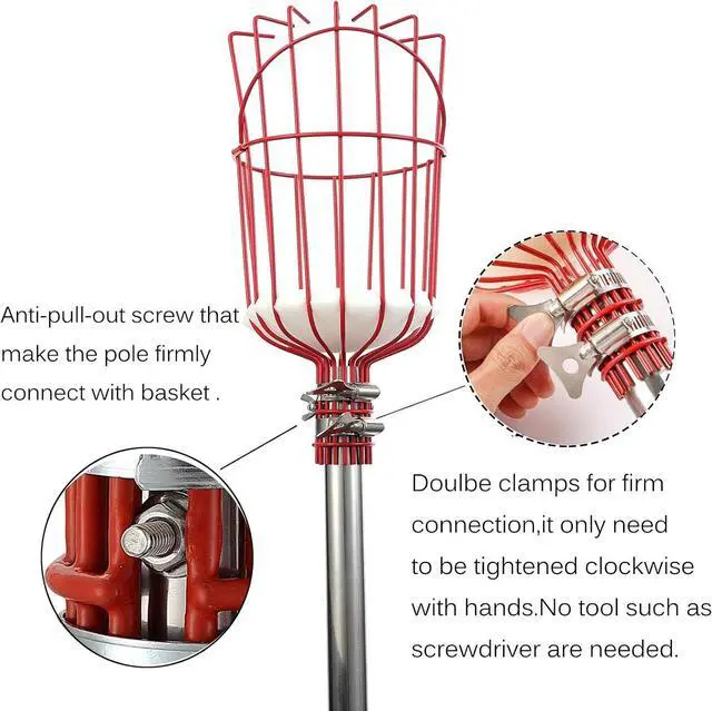 Alt view image 3 of 5 - COCONUT Fruit Picker Tool, Fruit Picker with Basket and Pole Easy to Assemble & Use Fruits Catcher Tree Picker for Getting Fruits(5ft)