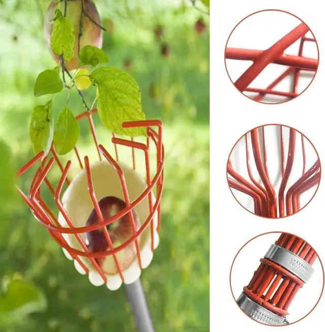 Alt view image 4 of 5 - COCONUT Fruit Picker Tool, Fruit Picker with Basket and Pole Easy to Assemble & Use Fruits Catcher Tree Picker for Getting Fruits(5ft)