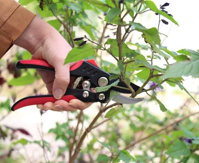 Alt view image 5 of 7 - TABOR TOOLS S851A Bypass Hand Pruner with Compound Action, Makes Clean Cuts. Professional Sharp Secateurs, Pruning Shears, Garden Shears, Clippers for the Garden.