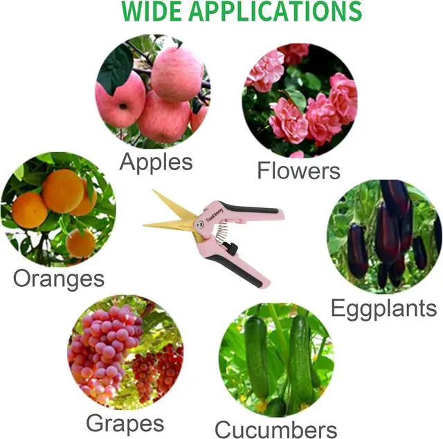 Alt view image 6 of 7 - 12 Packs Pruning Shears with Curved Blades, Garden Trimming Scissors, Gardening Hand Pruning Snips Titanium Coated Precision Bonsai Pruning Shears, Efficient Flower Cutters (Pink)