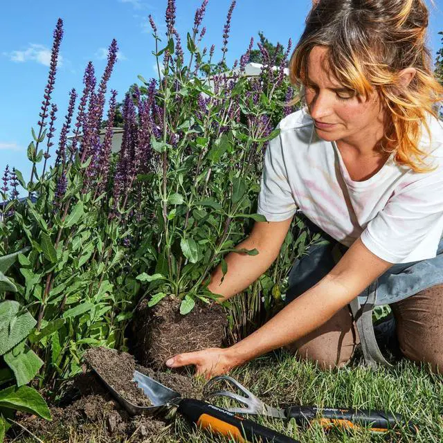 Alt view image 5 of 5 - Fiskars Xact Cultivator, Length: 32.3 cm, Width: 9.2 cm, Black/Orange, Stainless Steel/Plastic, Xact, 1027047