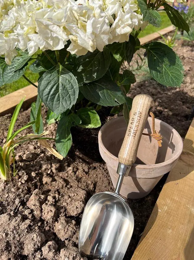 Alt view image 2 of 7 - Spear & Jackson 5060SS Traditional Stainless Soil Scoop