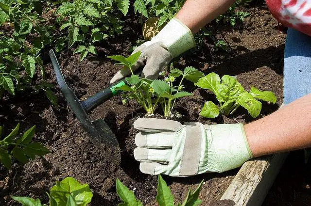 Alt view image 4 of 5 - Yard Butler Terra Planter - Garden Trowel Hand Tool - Hand Shovel for Gardening & Lawn Care - Dual Action Gardening Hand Tool - Durable Gardening Accessory