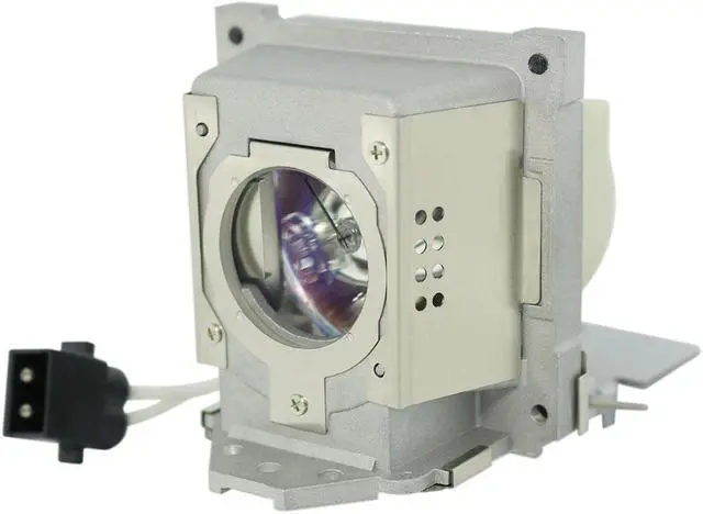 Main image of Advanced Lamps Lamp & Housing for The BenQ SH960 (Lamp #2) Projector