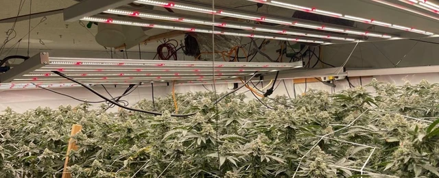 Alt view image 7 of 7 - Jaspertronics MB08 PRO LED Grow Light, 1300W Total Output Mode, 3380mol/s PPF, Dual-Channel Spectrum Control, 4x6 Coverage, 40-100% Dimming, Indoor Horticulture Light