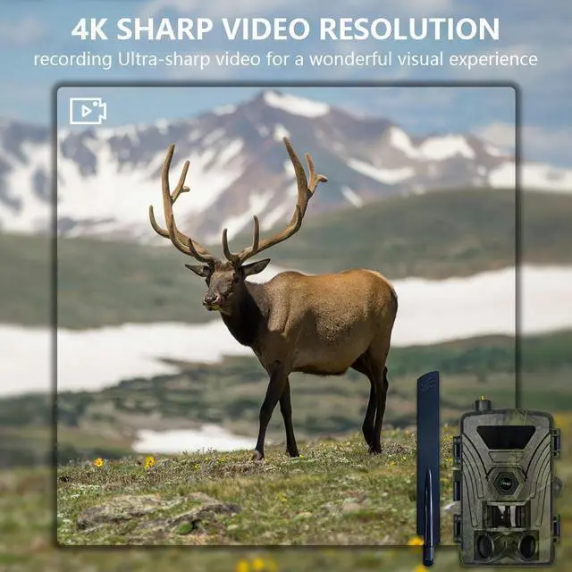 Alt view image 4 of 7 - 4G Hunting camera 4K day and night use wild trail camera with cloud water proof