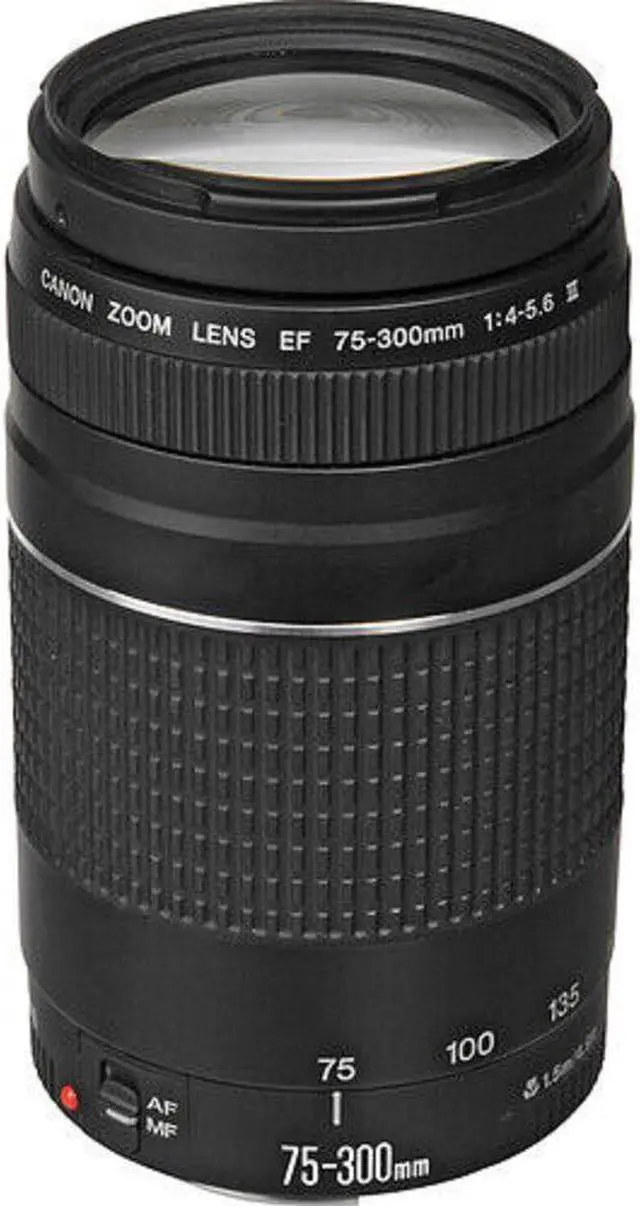 Main image of Canon EF 75-300mm f/4-5.6 III Lens 6473A003 - Brand New in White Box