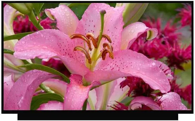 Main image of NUOLAISUN Compatible with B156HAN12.0 HW3B HW0B HW1B AUO7A8C 15.6 inches 300Hz 100% sRGB FullHD 1920x1080 IPS 40Pin LCD Display Screen Panel Replacement