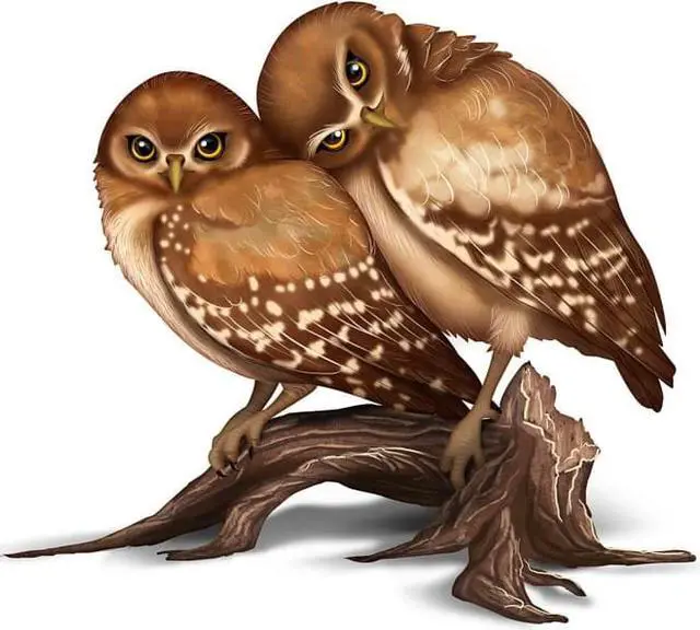 Main image of The Hamilton Collection Laura Crawford Williams Nature's Precious Moment Owl Couple Figurine
