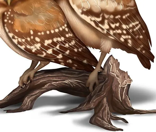 Alt view image 3 of 3 - The Hamilton Collection Laura Crawford Williams Nature's Precious Moment Owl Couple Figurine