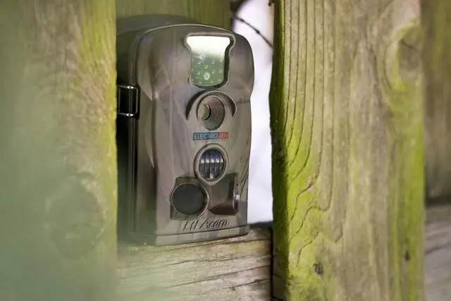 Alt view image 5 of 6 - Mountable Infrared Motion Detection Camera Security Day Night Camp Surveillance
