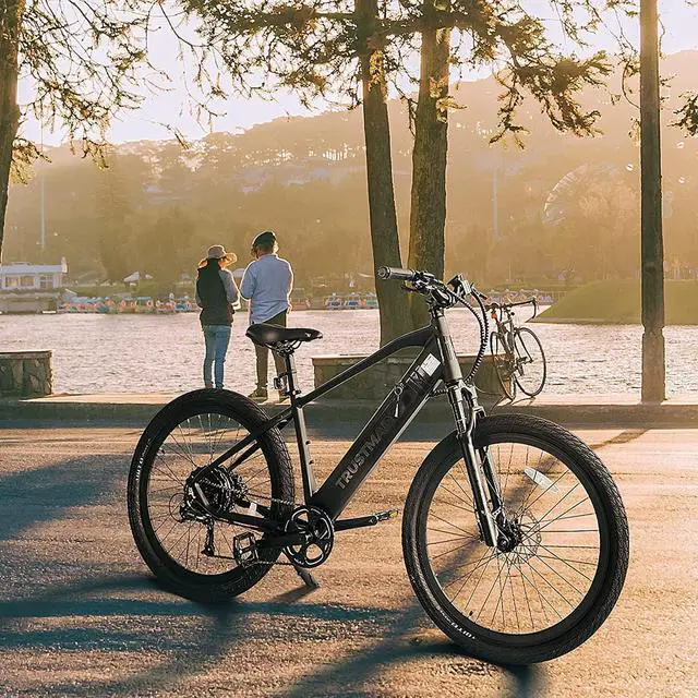 Alt view image 7 of 7 - Trustmade 27.5" Electric Bike 750W Panther-X Series
