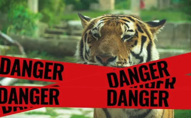 Alt view image 2 of 6 - COMFITWEAR Red Danger Barricade Tape,(3" X 1000') PT-200