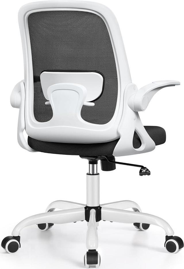 Winrise Office Chair Ergonomic Desk Chairs with Lumbar Support and