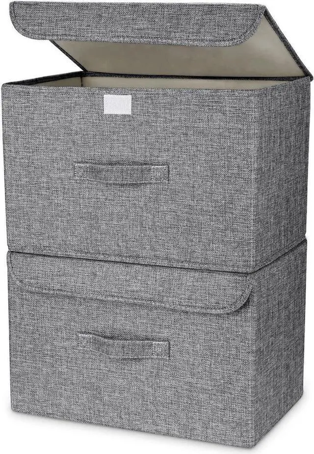 Main image of DIMJ 2Pcs Fabric Storage Box with Lid, Foldable Closet Storage Bins Large Basket Boxes with Handle Closet Organizers for Books, Clothes,Home, Bedroom, Closet, Office