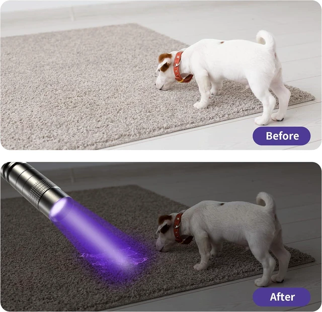 Alt view image 5 of 7 - COSOOS UV Black Light Flashlights, 4 Pack 395nm Mini Pen Lights with Clip, Waterproof Ultraviolet Flashlights for AC Leak, Pet Urine, Scorpion, Hotel Inspection, Dry Stain and Bed Bug Detection