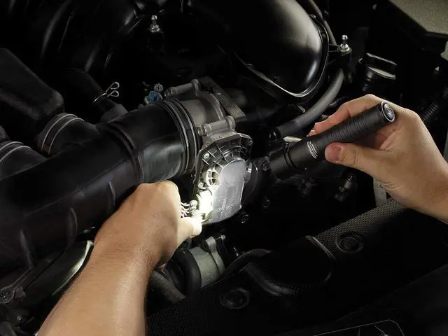 Alt view image 4 of 4 - Streamlight 74302 Strion LED Flashlight with AC/12-Volt DC Charger and 2-Holder, Black