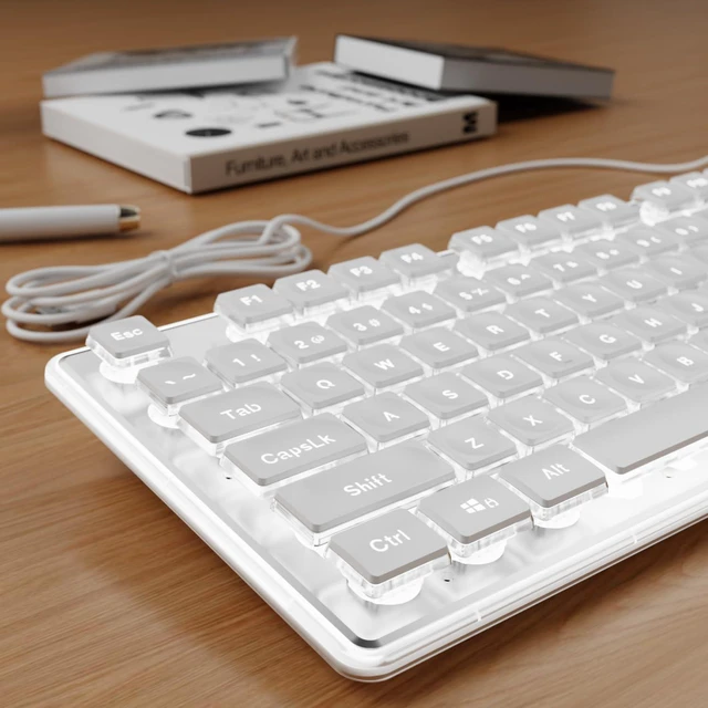 Main image of SEUNKWANG Wired Backlit Keyboard with Pudding Keycaps, Quiet Full Size Computer Keyboard White Backlight Easy-to-Read, Never Fade, Metal Panel, USB Cute Desk Setup for Windows PC Desktop, White