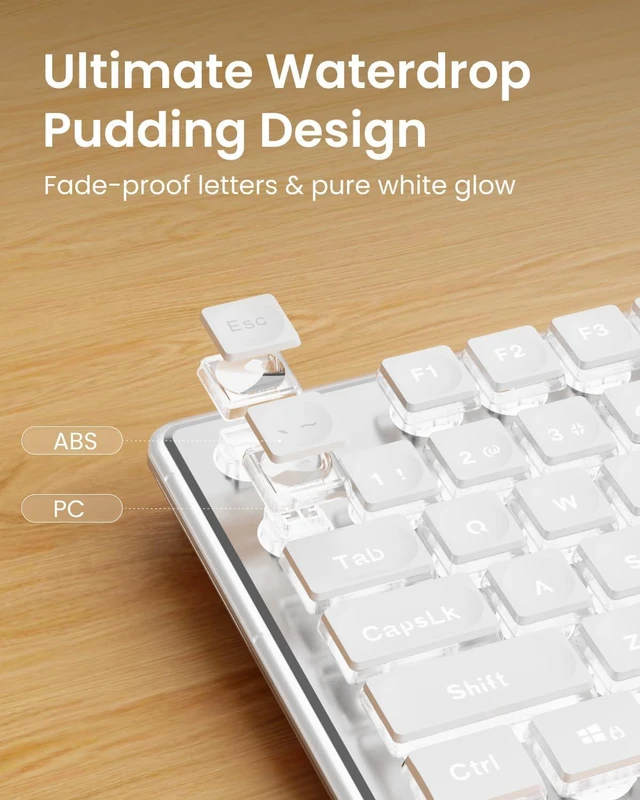 Alt view image 2 of 7 - SEUNKWANG Wired Backlit Keyboard with Pudding Keycaps, Quiet Full Size Computer Keyboard White Backlight Easy-to-Read, Never Fade, Metal Panel, USB Cute Desk Setup for Windows PC Desktop, White