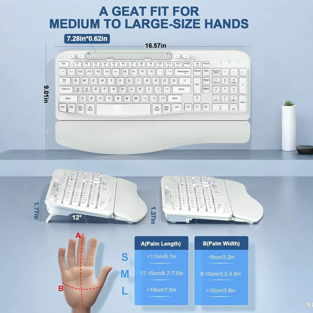 Alt view image 2 of 7 - EAYBLLY 2.4G Wireless Ergonomic Keyboard, Full Size Wave Keys with Memory Foam Wrist Rest & 7.28in Phone Holder, USB-C Adapter Included for Windows Mac Chrome OS, Office or Home (White)