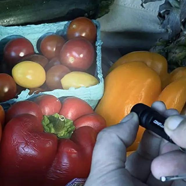 Alt view image 6 of 6 - Coast KL10 100 Lumen LED Keychain Light, Pocket Sized, Black