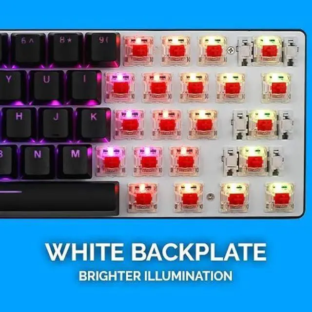 Alt view image 4 of 6 - Whirlwind FX Atom 60% Gaming Keyboard: Interactive and Customizable Lighting  Immersive, Reactive RGB Experience (Blue Clicky)