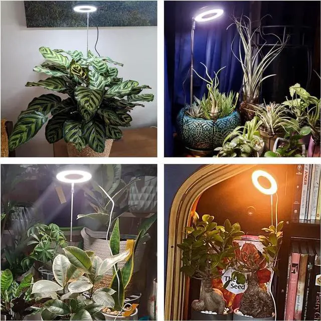 Alt view image 2 of 6 - Plant Grow Light, 48 LEDs Full Spectrum Grow Light for Indoor Plants, Height Adjustable Small Halo Light with Base, 3 Optional Spectrums, Auto Timer 3/9/12Hrs, 10 Brightness, 3 Pack