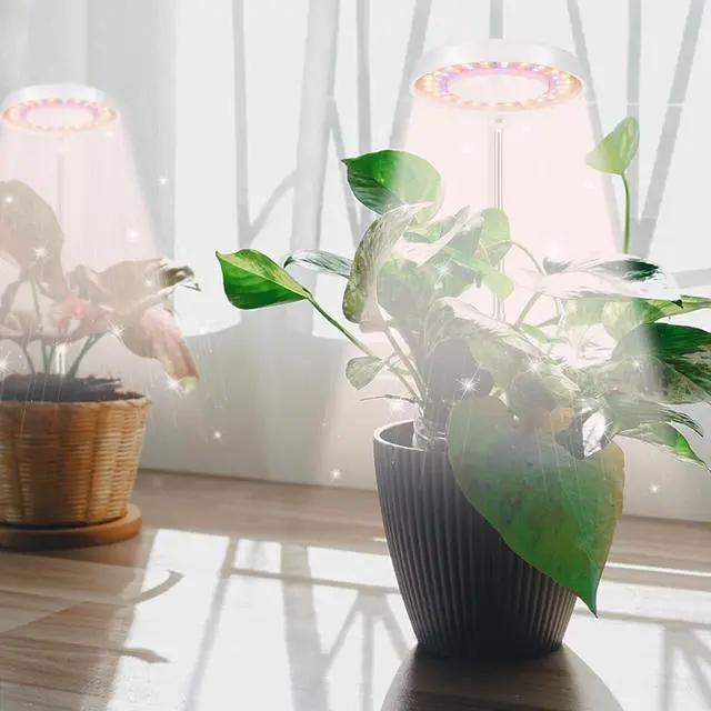 Alt view image 2 of 6 - GooingTop LED Grow Light, Halo Plant Growing Lamp for Indoor Plants Growth, White Full Spectrum Low Light for Small Plants,Upgrade Timer 4/8/12/18 Hrs & Variable Spectrum,2 Pack
