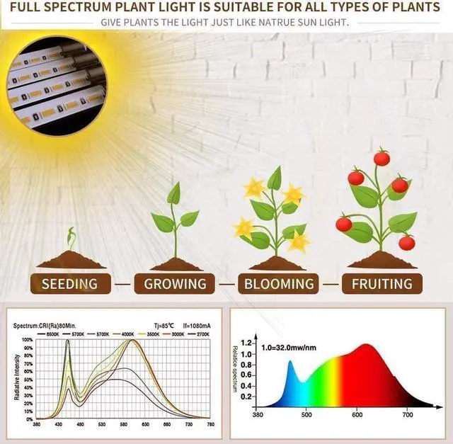 Alt view image 4 of 7 - bseah Grow Light Plant Lights for Indoor Plants, Full Spectrum Plant Grow Lights, 10 Dimmable Levels Auto ON & Off with 3/9/12H Timer