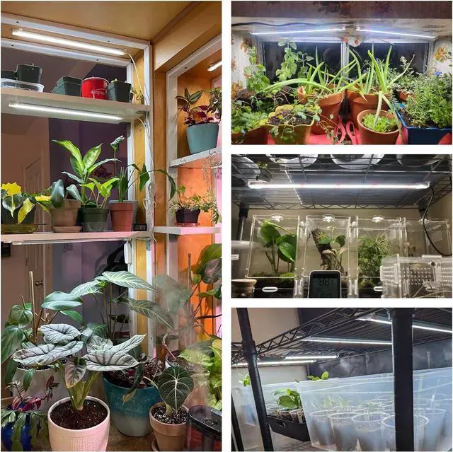 Alt view image 2 of 6 - Wiaxulay Grow Lights for Indoor Plants Full Spectrum, 6000K LED Plant Grow Light Strips, Grow Lamp with Auto On/Off 6/12/16H Timer, 5 Dimmable Levels, 3 Switch Modes for Hydroponics Seedling