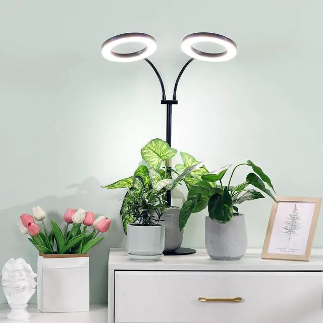 Alt view image 6 of 7 - LBW Halo Plant Grow Lights, Dual-Head Desk Grow Light for Indoor Plants, 72x2 LEDs Full Spectrum Grow Lamp with 4/8/12H Auto Timer, 4-Level Brightness, Flexible Gooseneck, Height Adjustable, Black