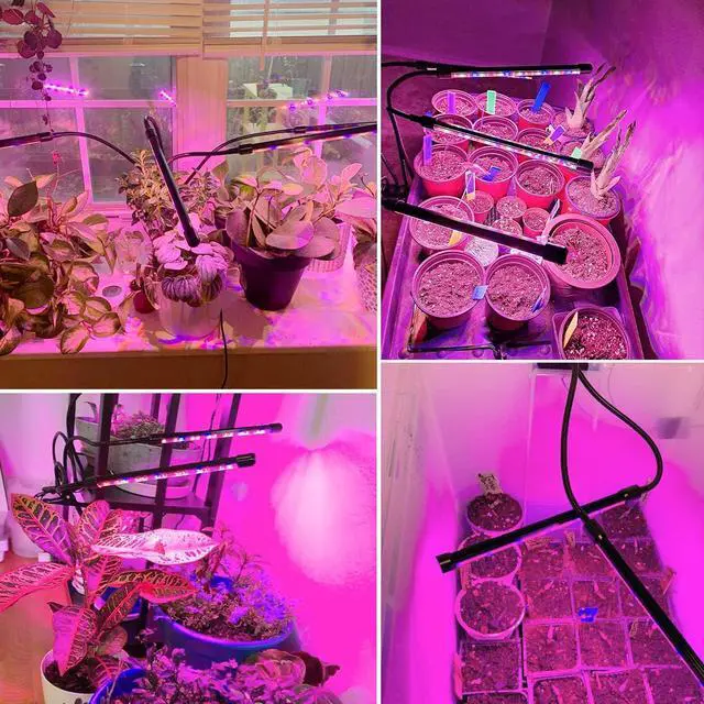 Alt view image 6 of 7 - Garpsen Grow Lights for Indoor Plants, Grow Light with Red Blue Full Spectrum, 2 Heads Clip 40 LEDs Plant Light for Indoor Plants, 3 Switch Modes & Auto ON/Off, 6 12 16H Timer, 5 Dimmable Levels