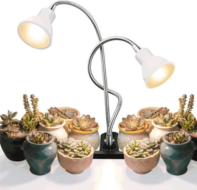 metal planter indoor Oxidized Metal Planter  Spring Sweet