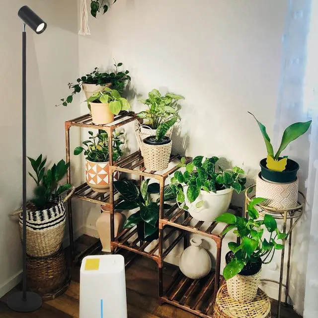 Alt view image 7 of 7 - HMVPL Grow Lights Stand for Indoor Plants Full Spectrum Tall Plant Light for Indoor Growing with 20W COB Plant Light Bulb,4/8/12H Timer, Led Growth Floor Lamp for Large Plant Seedling(6 Level Height)