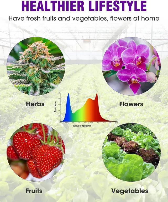 Alt view image 3 of 7 - HitLight LED Grow light with 288 US Patented LEDs, 2x2ft Coverage Dimmable Full Spectrum Plant Grow Lights for Indoor Plants Seeding Veg Flower Greenhouse Sunlike Growing Lamps, UL-Listed Driver, 120W