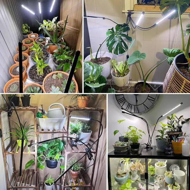 Alt view image 7 of 7 - Wolezek Grow Lights for Indoor Plants Full Spectrum, 6000K 3 Head Plant Lights Indoor, LED White Plant Grow Lamp with Clip, Auto ON & Off Timer 6/12/16H, 3 Light Modes, 5 Level Dimmable Brightness